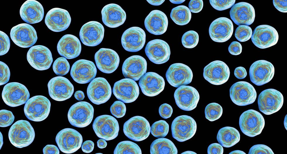 An ambitious plan to stop the rise of superbugs