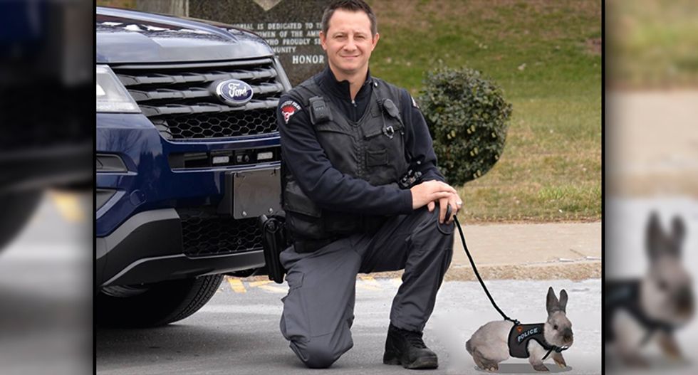 ‘Dead serious’ Pennsylvania GOP mayoral candidate determined to enact ‘narco bunnies’ plan to sniff out drugs