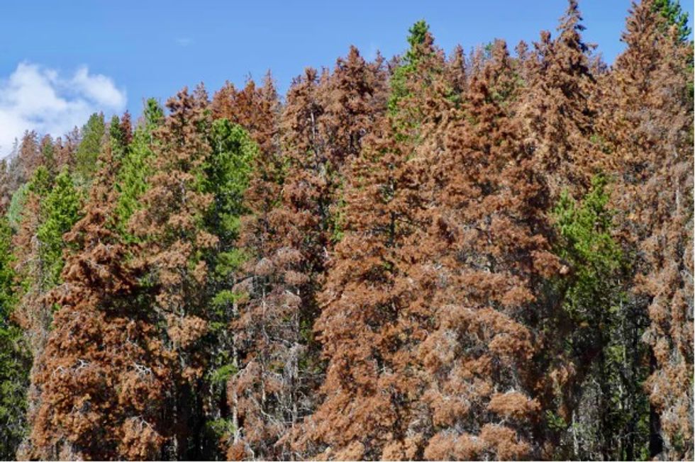 Human-caused climate change severely exposes the US national parks