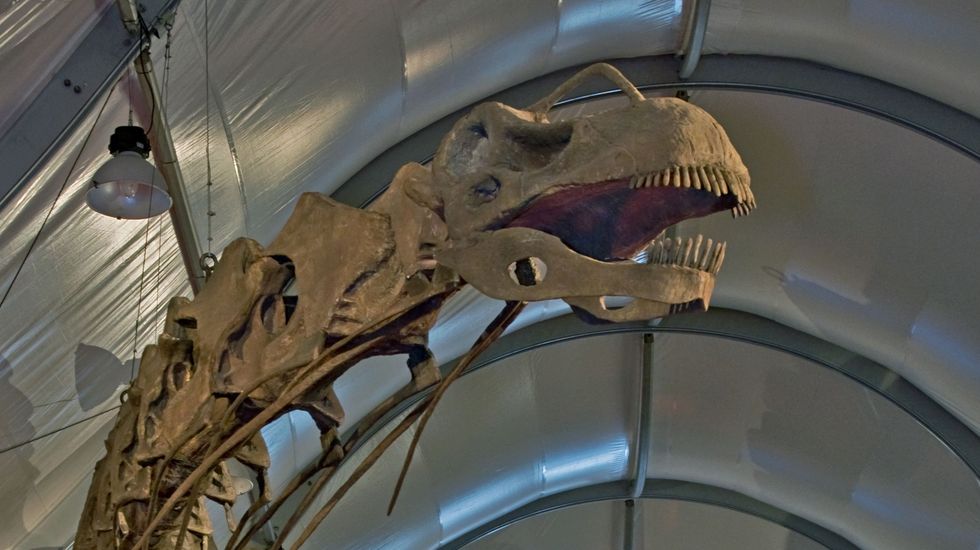 Supercomputer helps 80-ton 'virtual reality' Argentinosaurus dinosaur walk