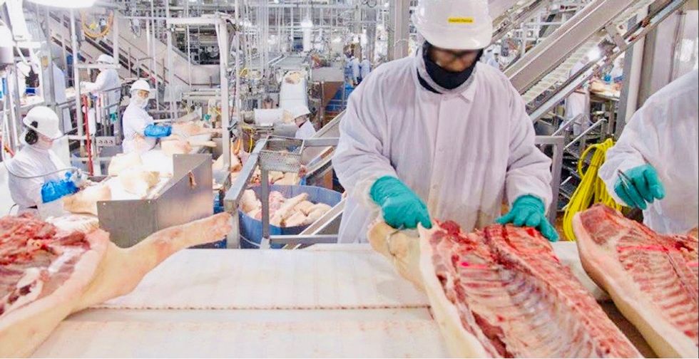 570 Tyson employees contract coronavirus after Trump forces meat plants to stay open during epidemic