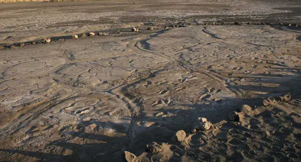 Newly uncovered prehistoric human footprints provide a rare glimpse into ancient human group behavior