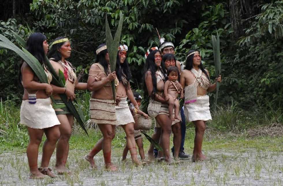 First coronavirus case detected in Ecuador Amazon tribe