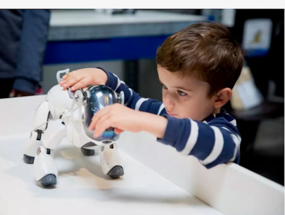 Why we love robotic dogs, puppets and dolls