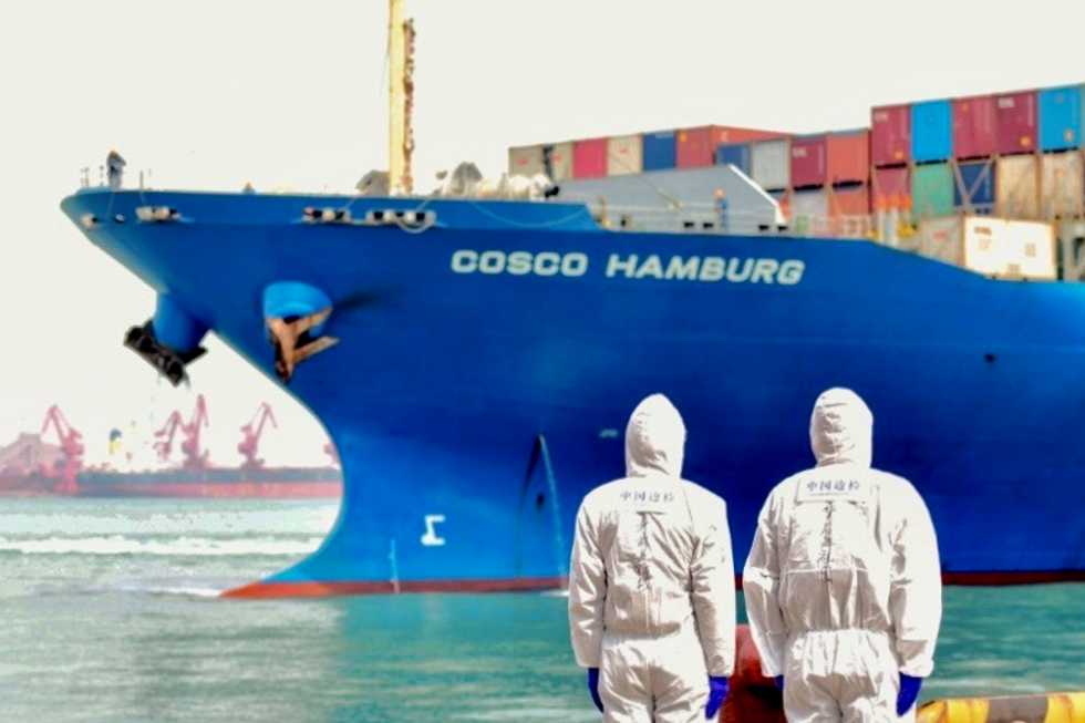 China trade growth 'unsustainable' if virus not controlled: minister