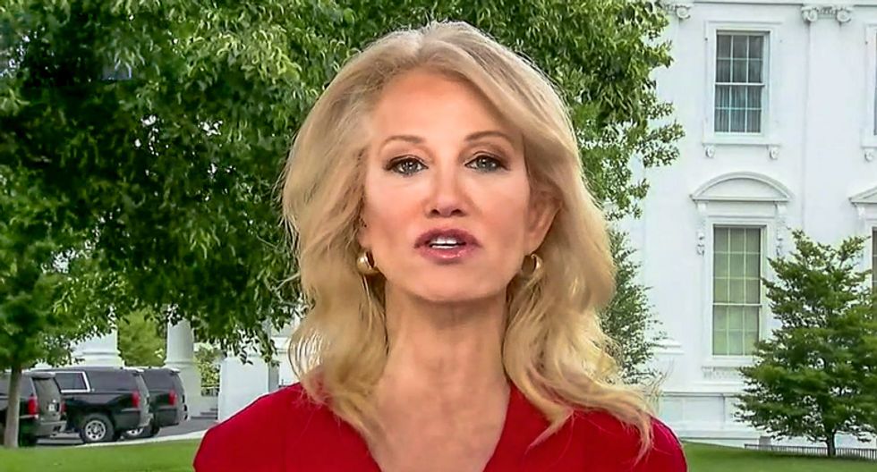 Kellyanne Conway suggests Joe Biden is picking a woman vice president to have sex with her