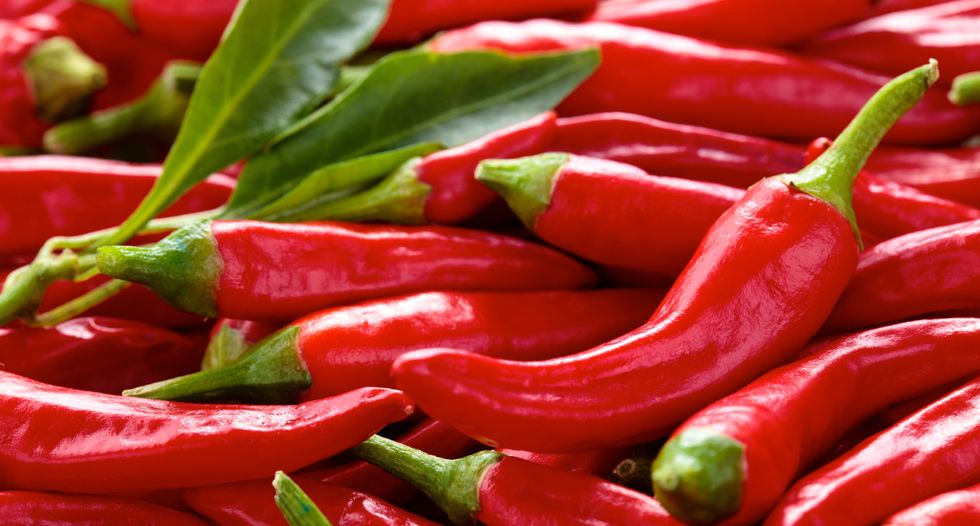 What is the world’s hottest chilli?