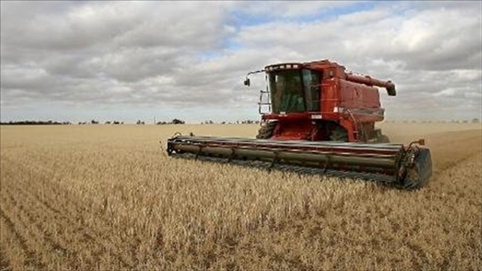 Trade spat with Mexico speeds US decline as global wheat supplier