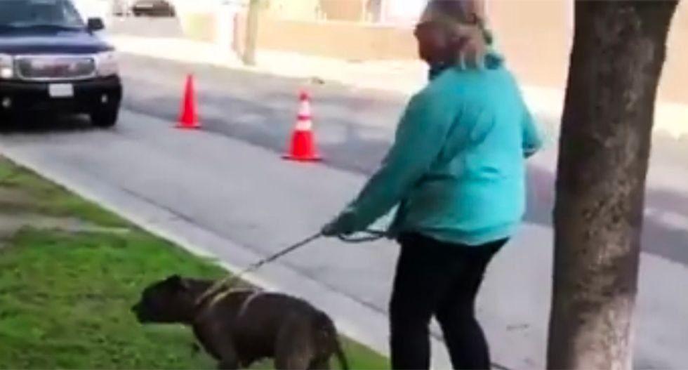 WATCH: Hollywood woman throws racist tantrum after Hispanic man asks her to clean up after her dog