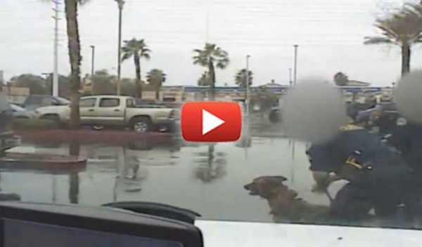 Horrifying video shows cops sic K-9 on infant daughter of a man they mistook for a suspect