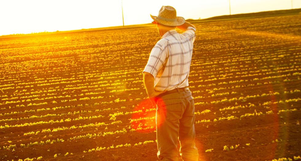 Agriculture leaders slam Trump's USDA budget cut proposal