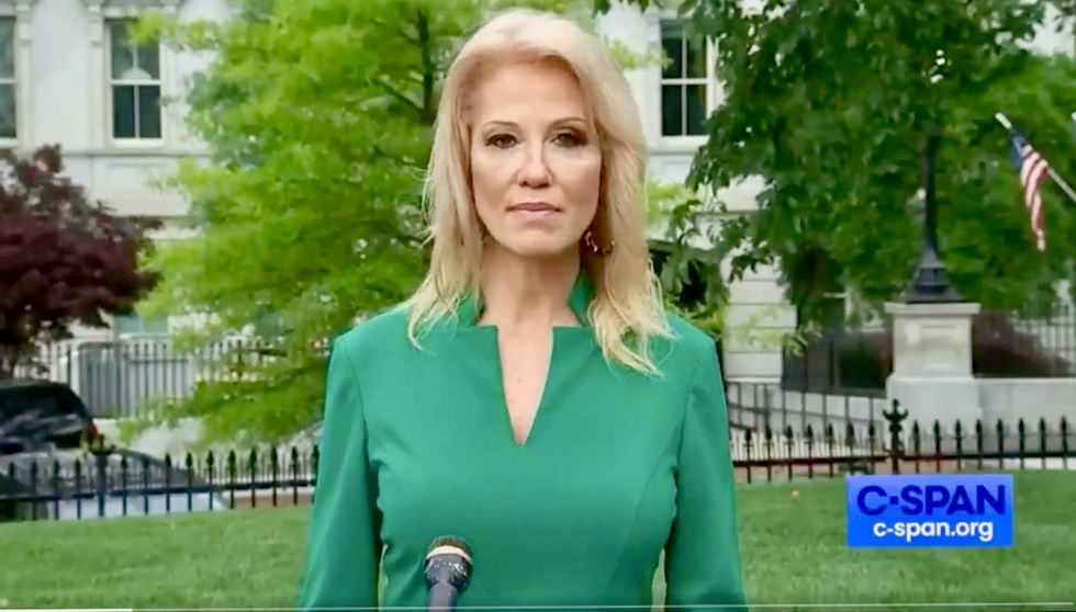 ‘Political hack’ Kellyanne Conway destroyed for condescendingly comparing standing in line to vote to buying cupcakes