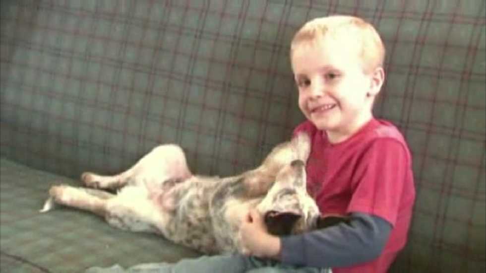 Colorado drops sexual harassment charge against six-year-old who kissed classmate