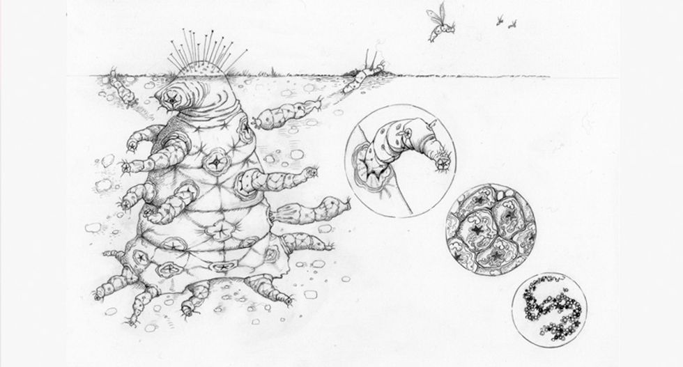 How would we recognize an alien if we actually saw one?