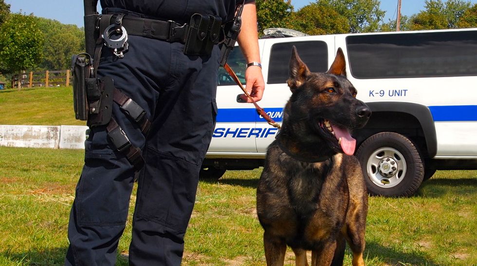 Supreme Court limits use of police drug-sniffing dogs in routine traffic stops
