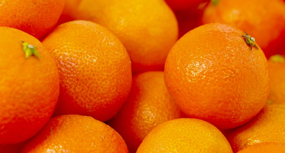 Juice company dumped orange peels in Costa Rican national park in the 90s -- it revived the forest