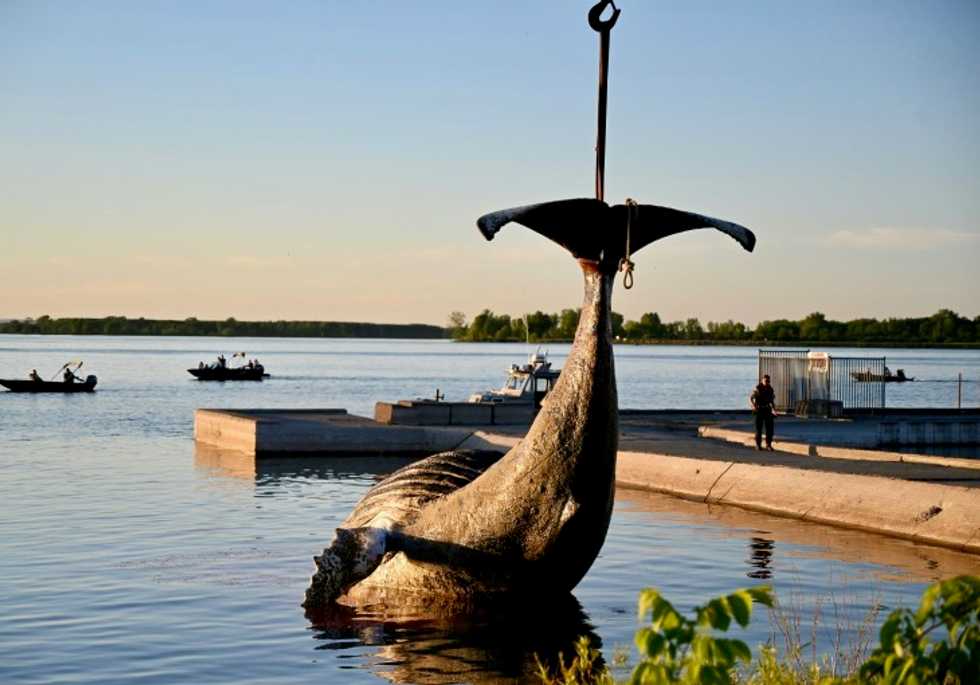 Wayward whale that swam 400km upriver to Montreal found dead