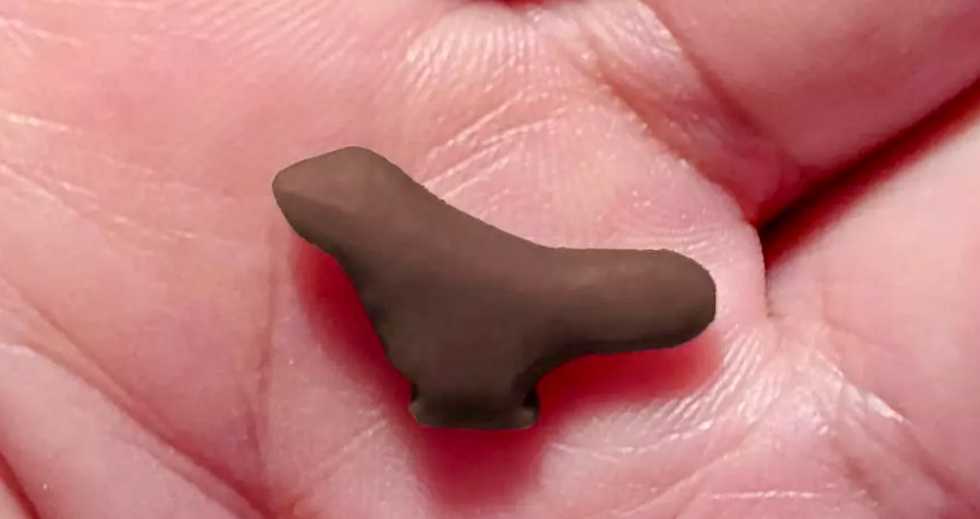 Tiny songbird is East Asia's 'oldest' carved artwork
