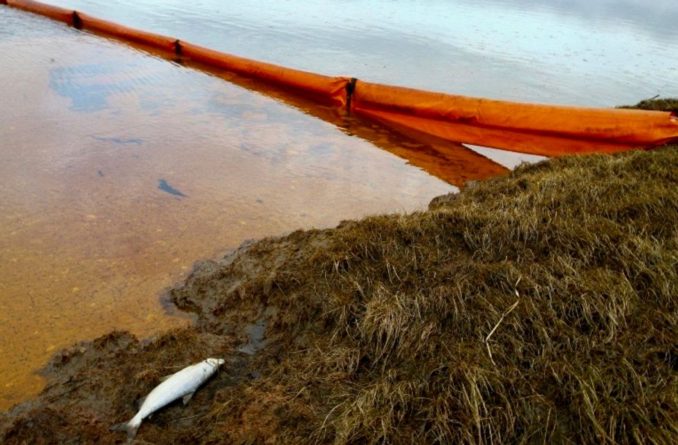 Pressured by climate activist groups, Deutsche Bank ditches drilling in the Arctic