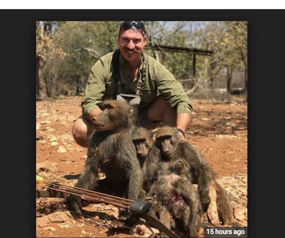 Idaho wildlife official resigns over uproar about killing baboon family