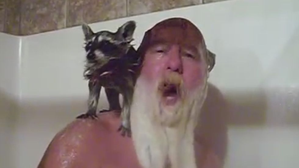 Tennessee man runs for governor in GOP primary for right to shower with his raccoon