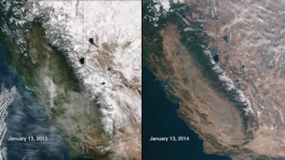 Tree-ring cores show California is suffering the worst drought in 1200 years