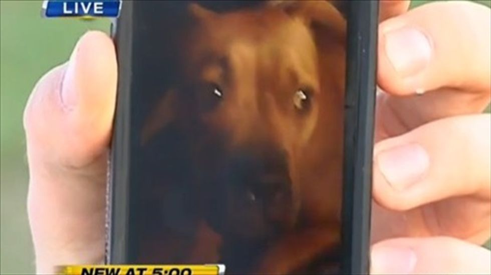 Florida cop not disciplined after shooting family dog dead in front of 2-year-old