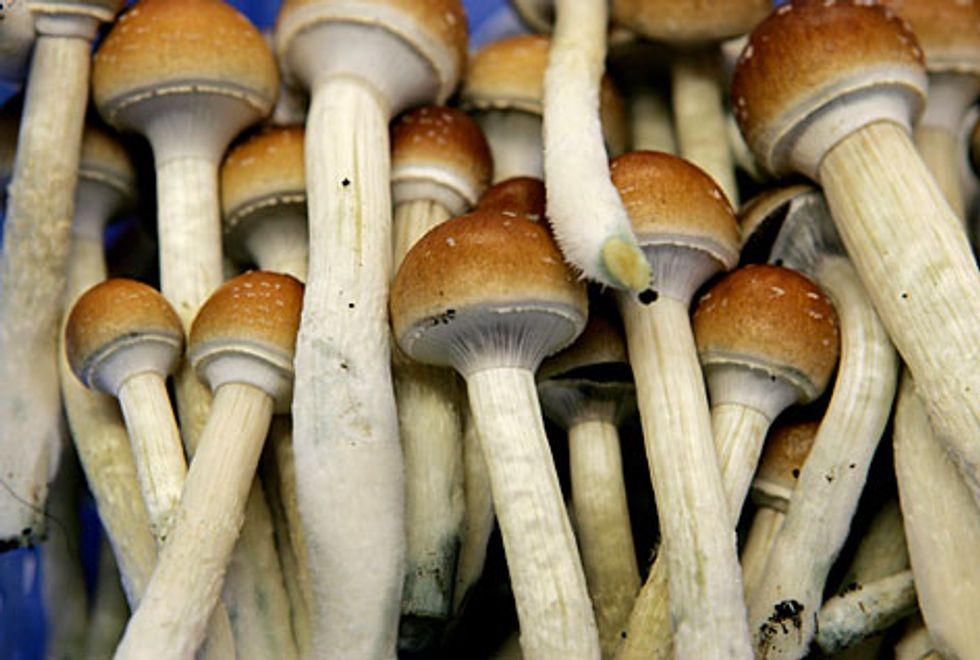 Denver becomes the first US city to decriminalize psychedelic mushrooms