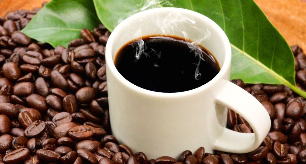 The biology of coffee, the world’s most popular drink