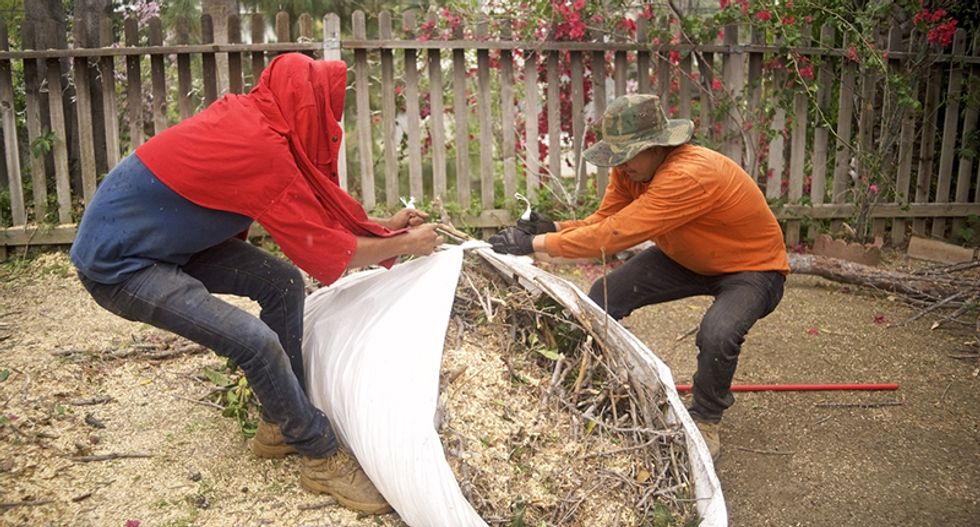 Construction firms hoping Trump will give them a 'wink and a nod' so they can hire immigrants to rebuild Houston