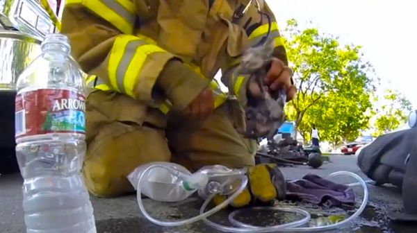 The five most extremely awesome GoPro videos