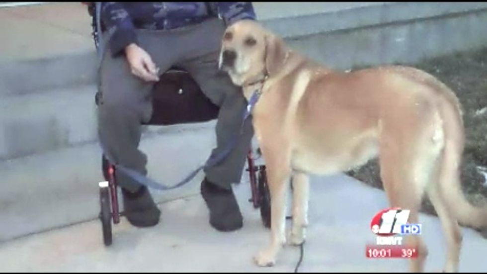Idaho cop shoots disabled man's service dog at son's 9th birthday party