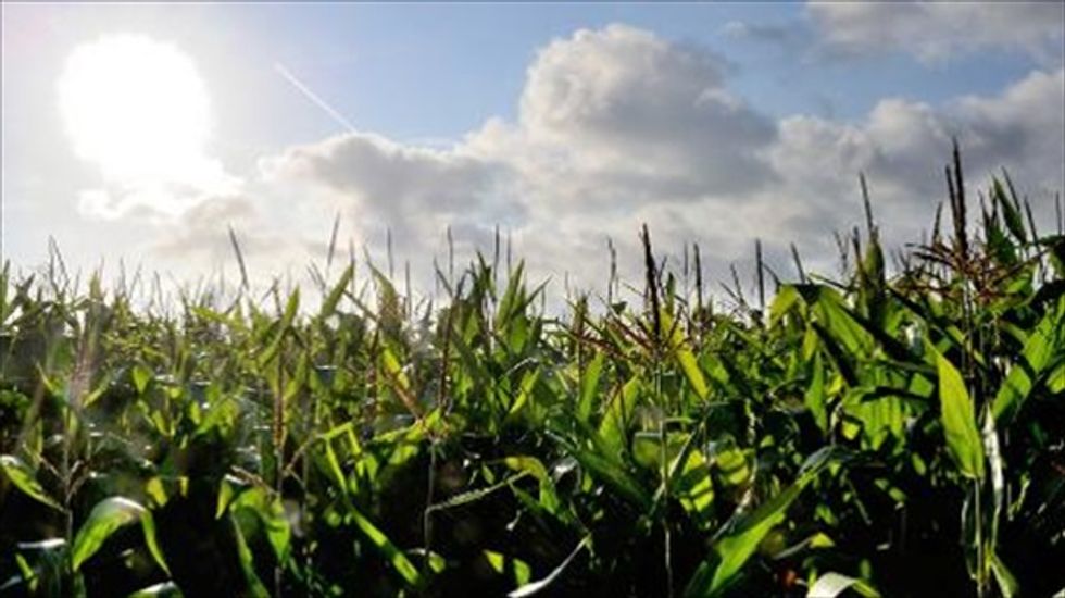 European scientists descend on Africa to promote genetically modified crops