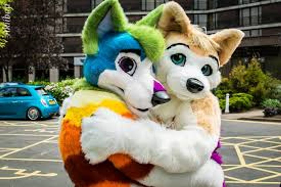 Disgraced Connecticut councilman resigns after 'Gray Muzzle' furry profile revealed