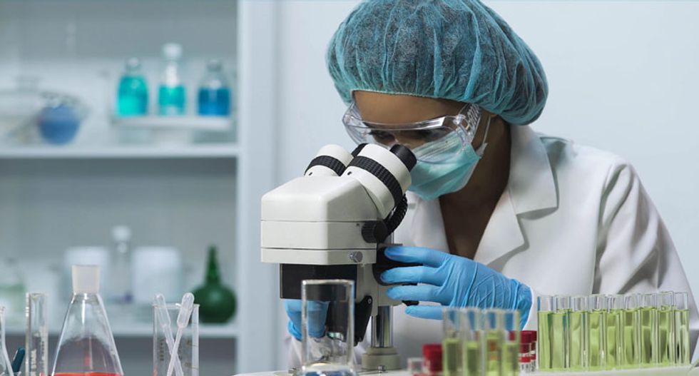 Could labs that test livestock ease COVID testing backlog for people? Well … maybe.
