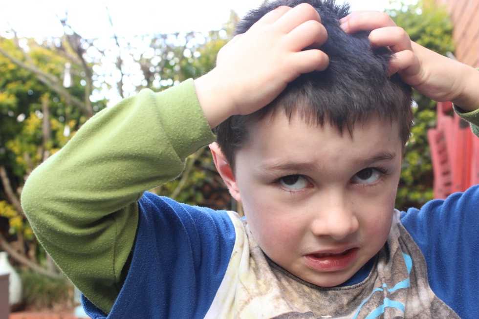 An ickier outbreak: Trench fever spread by lice is found in Denver