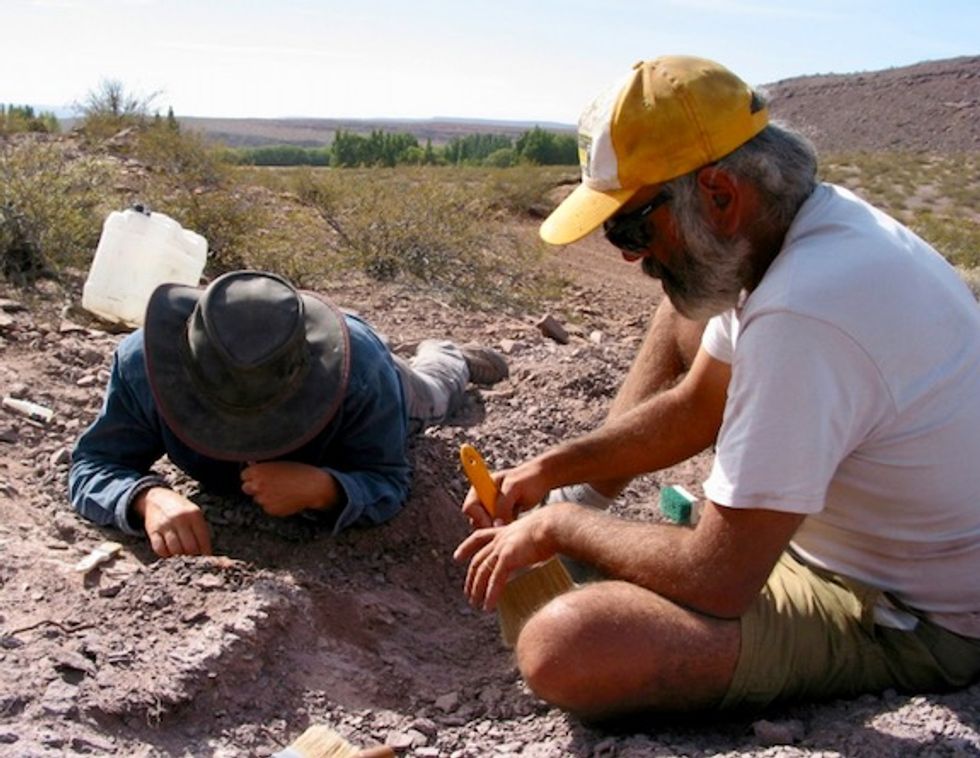 Paleontologists discover new sauropod species in Argentina