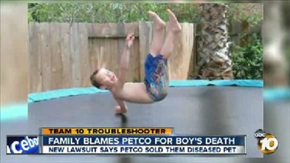 California boy's family sues Petco after 'rat bite fever' kills him within 48 hours