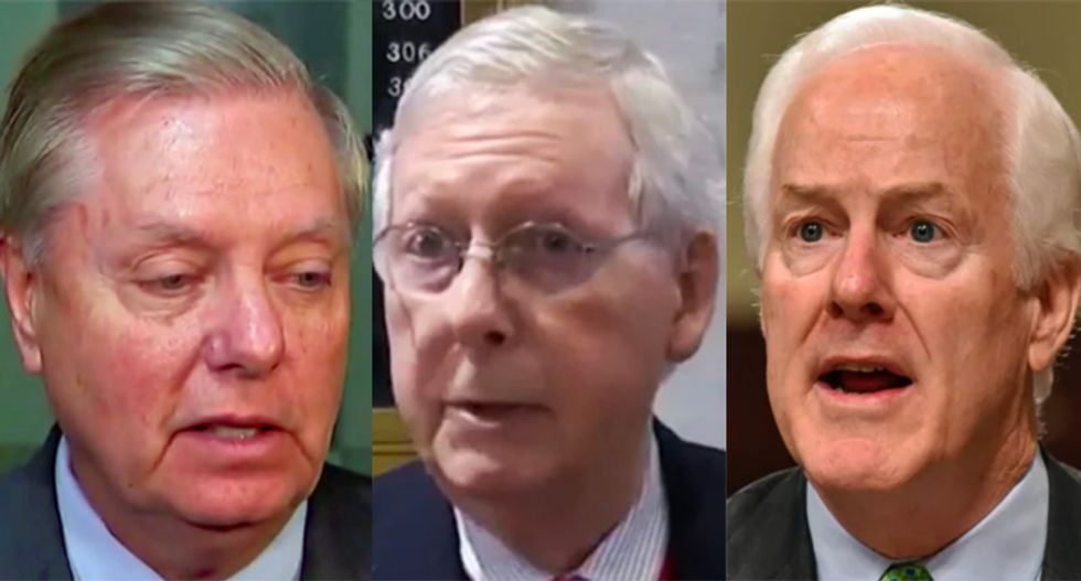 'Burn it all down': Conservative calls for purge of every one of Trump's Senate enablers