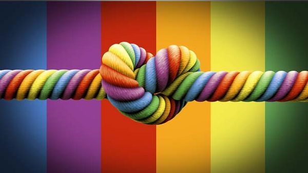 Ross Douthat looks at gay marriage and wonders what's love got to do with it