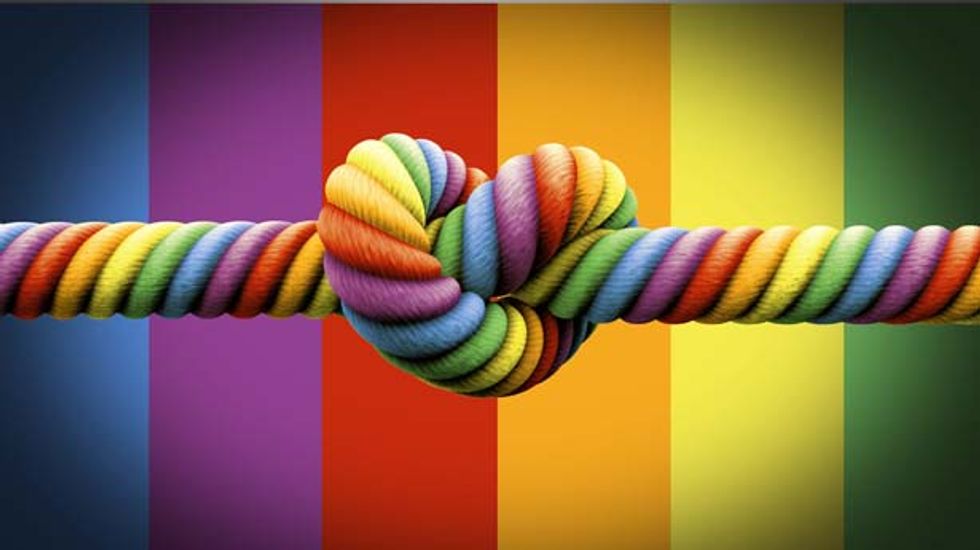 Ross Douthat looks at gay marriage and wonders what's love got to do with it