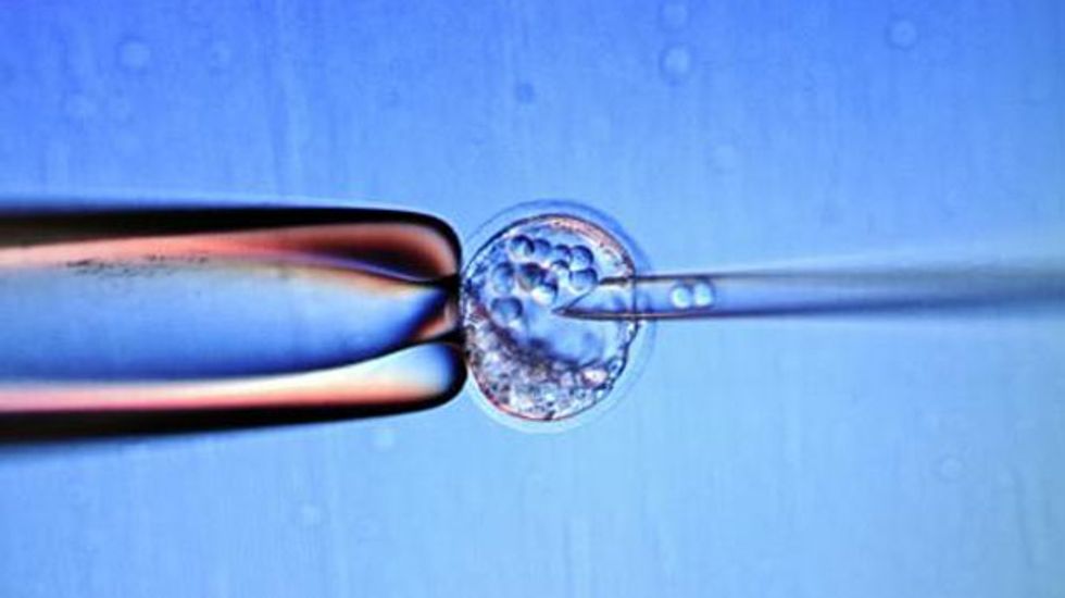 Scientists urge moratorium after Chinese researchers 'edit' human embryos
