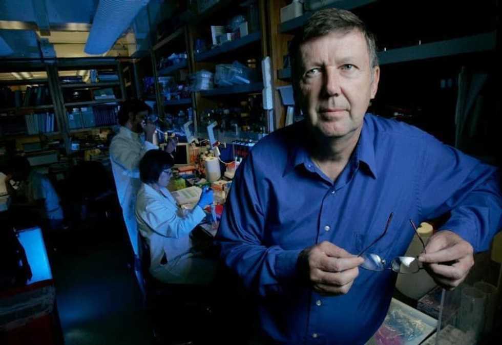 Several COVID-19 vaccines limit viral growth in monkeys: reports