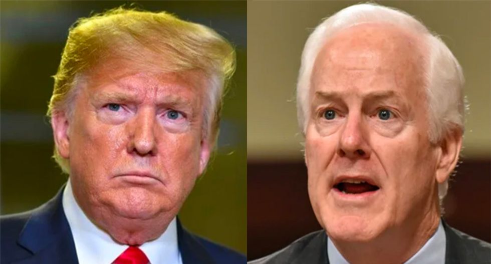 Conservative unleashes on John Cornyn and Republicans like him who 'deserve to lose' for fear of standing up to Trump