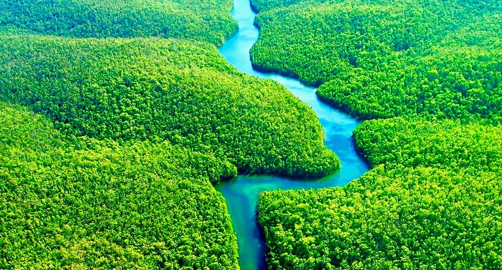 California polluters may soon buy carbon “offsets” from the Amazon — is that ethical?