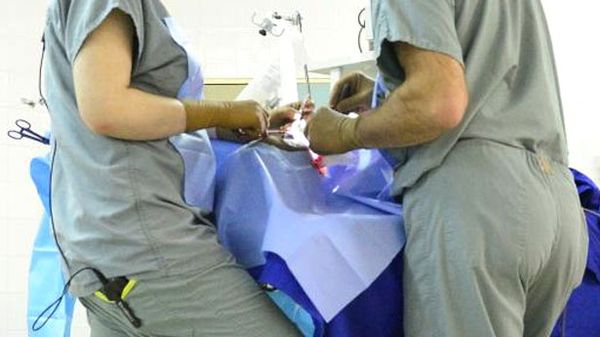 Egyptian doctor and girl's father both face trial over fatal female genital mutilation