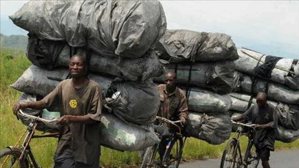 HIV pandemic originated in Kinshasa in the 1920s, say scientists