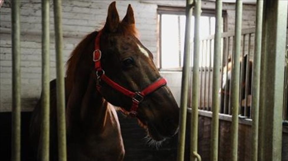 Preakness 2016 tragedy: Two horses die in earlier races