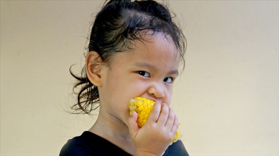 Corn-eating worm evolves to feed on GMO corn designed to kill it