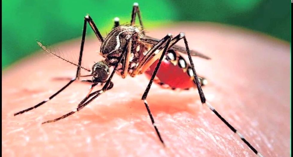 Florida announces Zika case hundreds of miles from Miami
